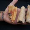 Costillas fósiles del Valle de Kem Kem
