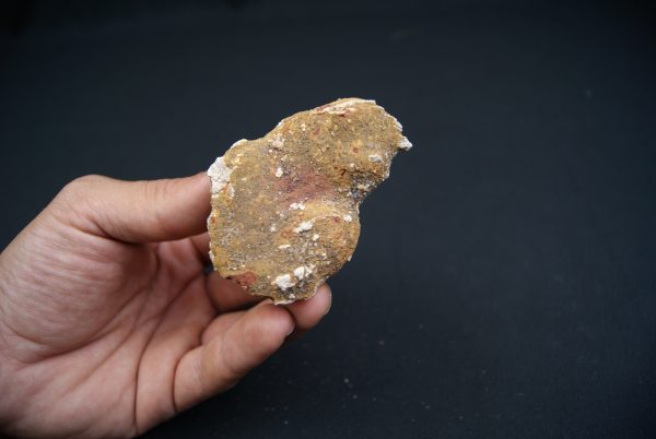 Coprolito del Valle de Kem Kem