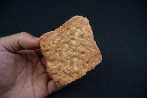 Osteodermo de cocodrilo