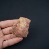Osteodermo de cocodrilo