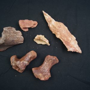 Colección de huesos valle kem kem