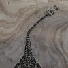 Keichousaurus hui