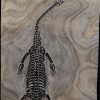 Keichousaurus hui