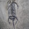 Keichousaurus hui