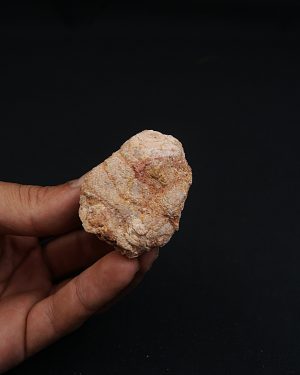 Coprolito fósil piscívoro