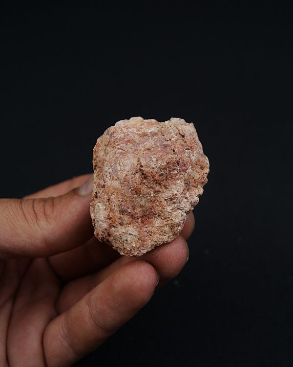 Coprolito fósil piscívoro