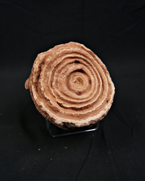 6412fac3-a14f-43cc-9e71-c8380b28161b Estromatolito fósil estratificado