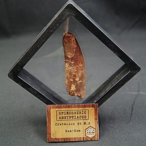 Spinosaurus aegyptiacus