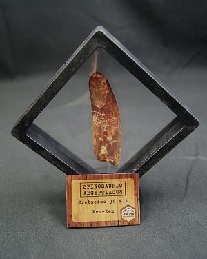 Spinosaurus aegyptiacus