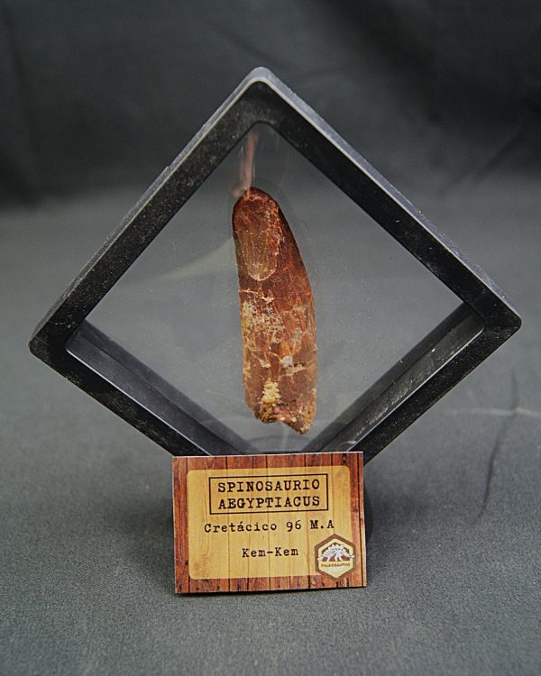 Spinosaurus aegyptiacus