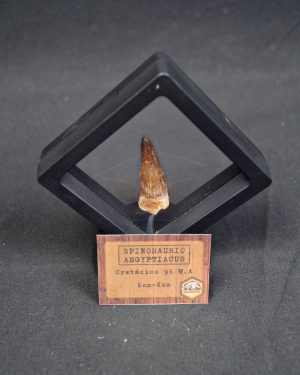 Spinosaurus aegyptiacus