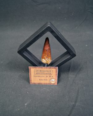 Spinosaurus aegyptiacus