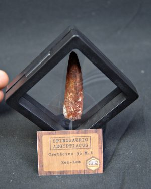 Spinosaurus aegyptiacus