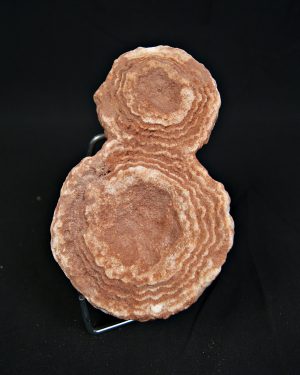 Estromatolito fósil de gran tamaño