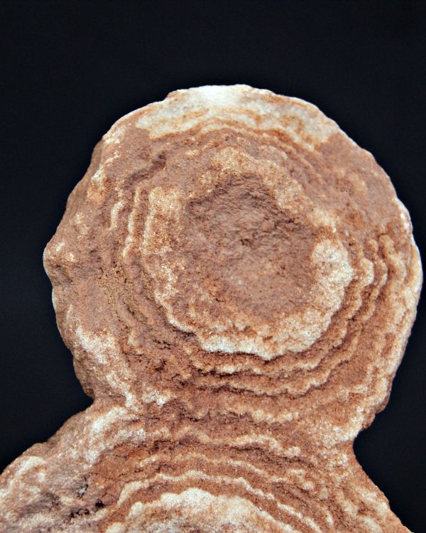 SONY DSC Estromatolito fósil de gran tamaño