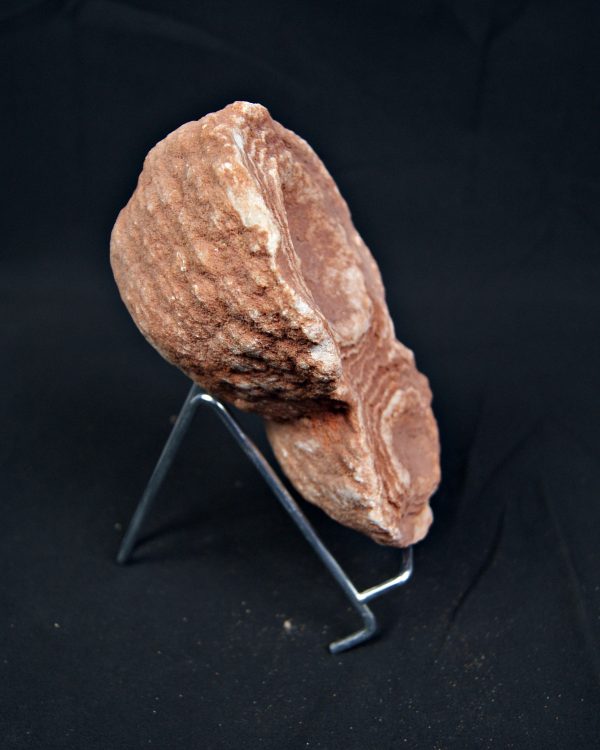 SONY DSC Estromatolito fósil de gran tamaño