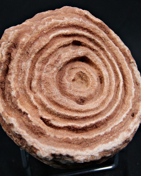 fa0f0720-3b97-4740-99d1-8b2d4fbaf0ee Estromatolito fósil estratificado