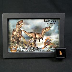 Diente de Raptor