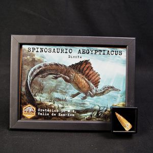 Spinosaurus aegyptiacus