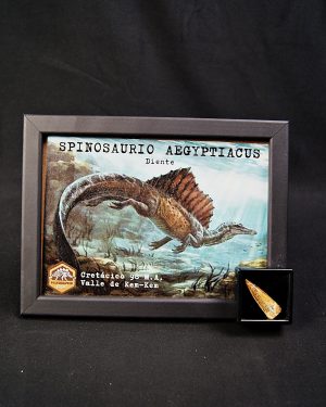Spinosaurus aegyptiacus