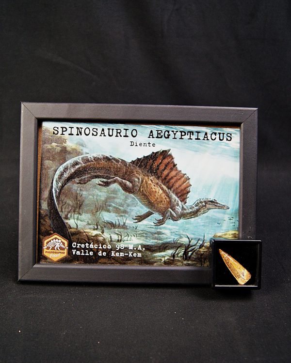 Spinosaurus aegyptiacus