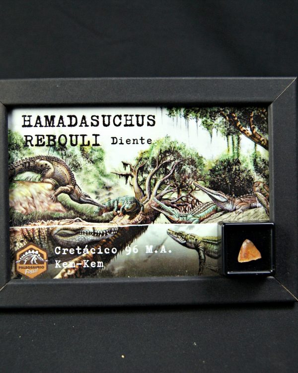 Hamadasuchus rebouli