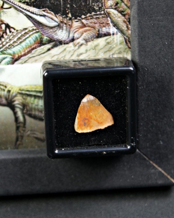 Hamadasuchus rebouli