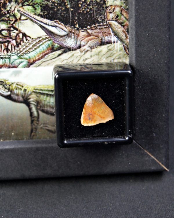 Hamadasuchus rebouli