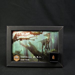 Diente de Raptor kem kem