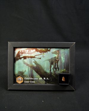 Diente de Raptor kem kem