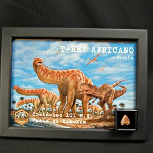 Carcharodontosaurus saharicus kem kem