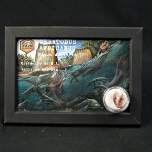 Ceratodus africanus Valle de Kem Kem