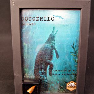 Diente de cocodrilo