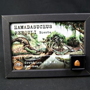 Hamadasuchus rebouli