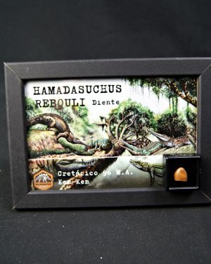 SONY DSC Hamadasuchus rebouli