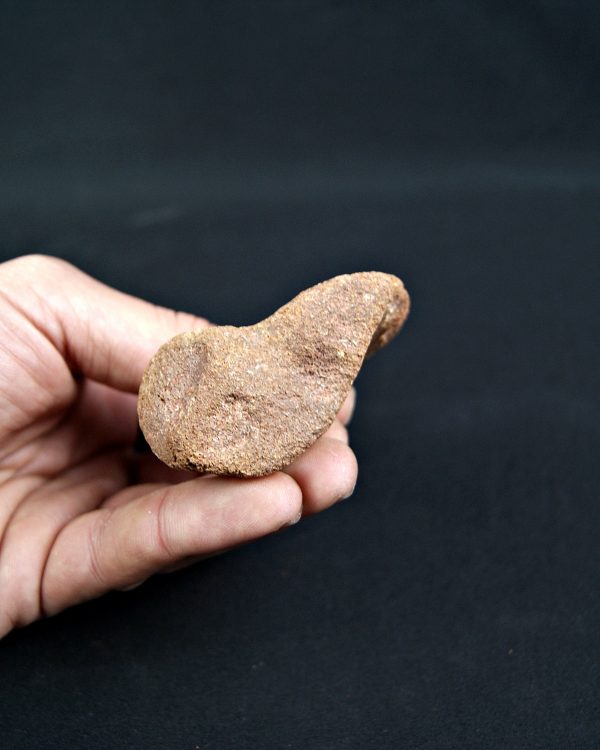 Fragmento Hueso Valle de Kem Kem