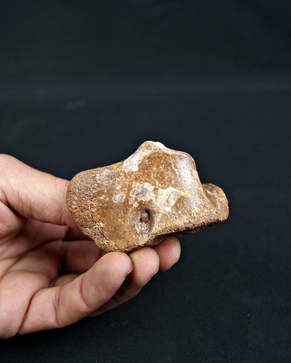 Fragmento Hueso Valle de Kem Kem