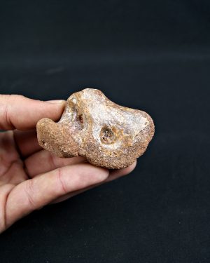 SONY DSC Fragmento Hueso Valle de Kem Kem