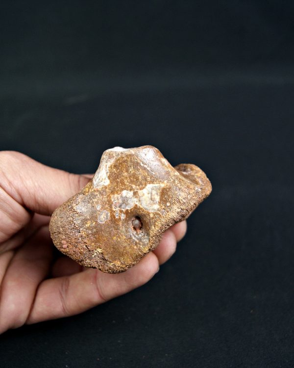 Fragmento Hueso Valle de Kem Kem