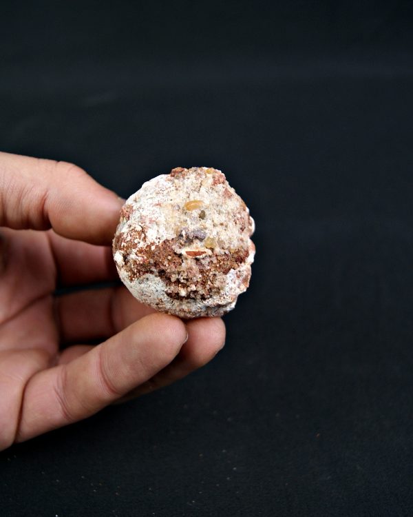 Coprolito Valle de Kem Kem