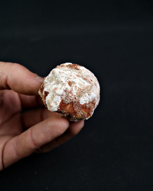 Coprolito Valle de Kem Kem