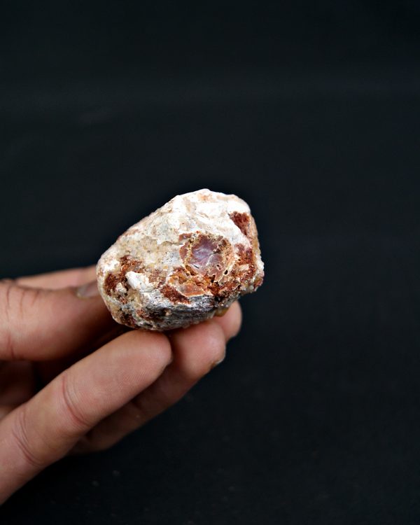 Coprolito Valle de Kem Kem