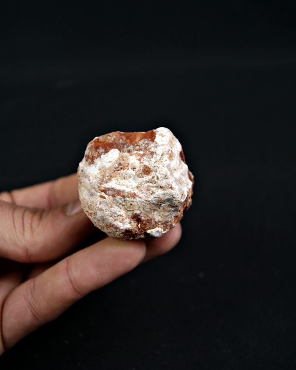 Coprolito Valle de Kem Kem