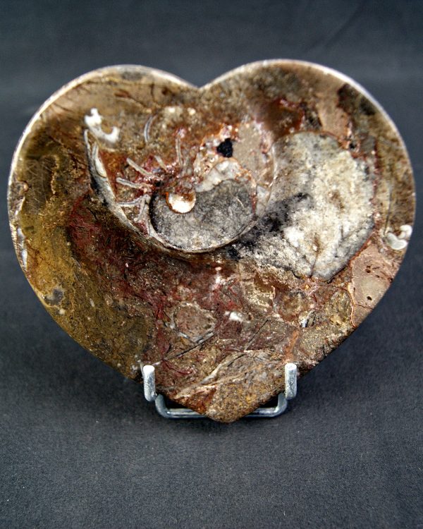 Corazón de Mármol Fósil