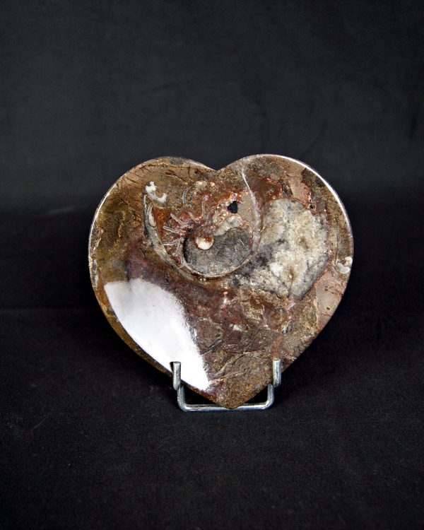 Corazón de Mármol Fósil