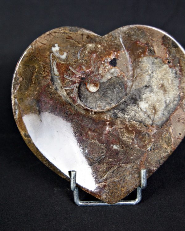 Corazón de Mármol Fósil