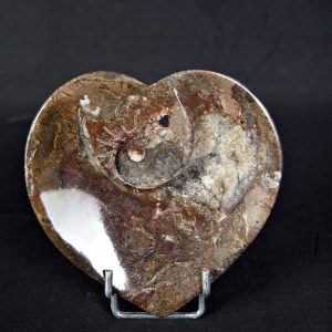 Corazón de Mármol Fósil