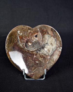 Corazón de Mármol Fósil