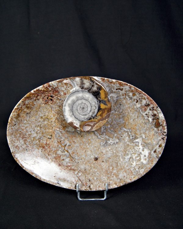 Mármol Fossil de Erfoud Bandeja