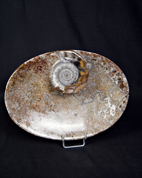 Mármol Fossil de Erfoud Bandeja